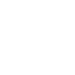 secure icon