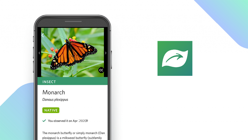 Seek by iNaturalist App feature