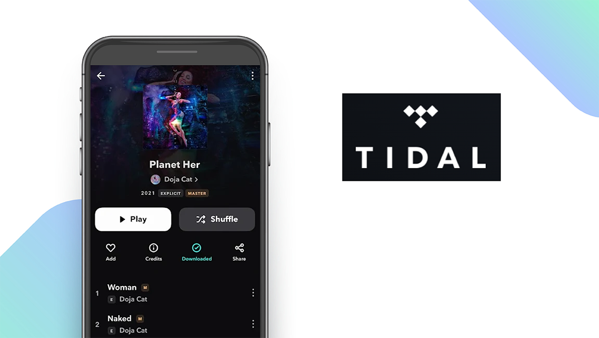 Tidal App feature