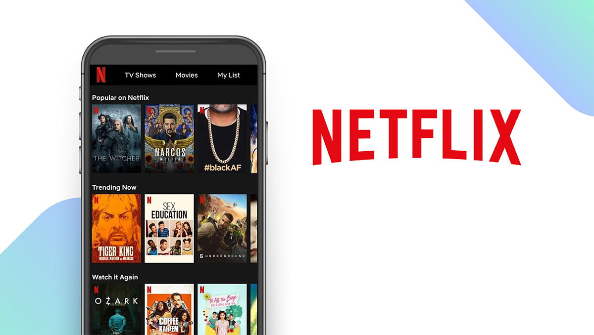 Netflix App feature